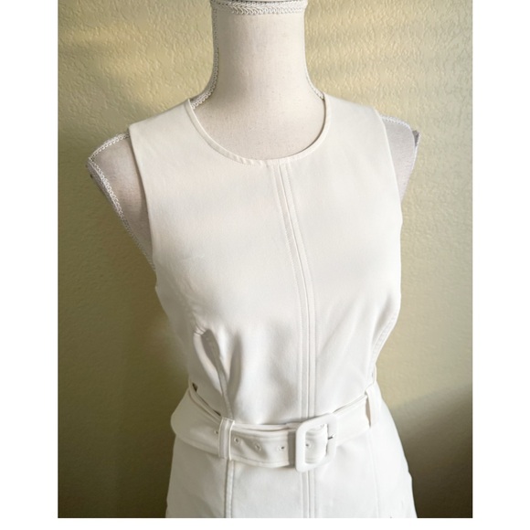 Cinq A Sept The Charolette Pleated Skirt Dress in Off White Size 4 - Picture 6 of 12